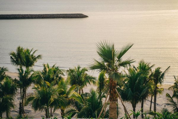 Quels sont les meilleures destinations pour un voyage d'aventure ?